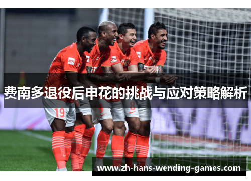 费南多退役后申花的挑战与应对策略解析